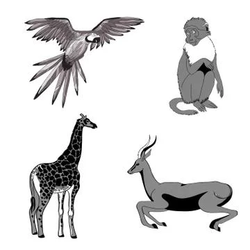 Vector illustration. Set of animals, parrot, giraffe, monkey, gazelle. Black, Stock Illustration
