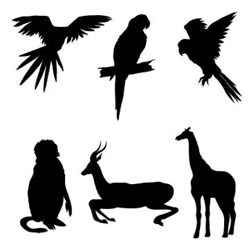 Vector illustration. Set of animals, parrot, giraffe, monkey, gazelle. Black 스톡 일러스트