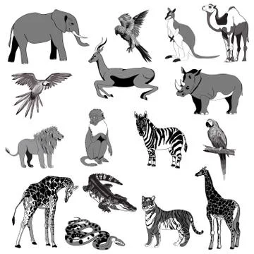 Vector illustration. Set of animals, parrot, giraffe, monkey, gazelle, elepha Illustrazione stock
