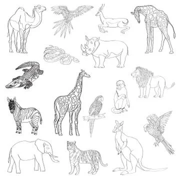 Vector illustration. Set of animals, parrot, giraffe, monkey, gazelle, elepha イラスト素材