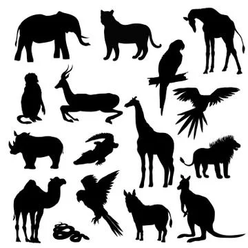 Vector illustration. Set of animals, parrot, giraffe, monkey, gazelle, elepha 스톡 일러스트