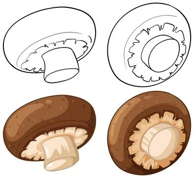 Vector Illustration Set of Brown and White Button Mushrooms Ilustración de archivo