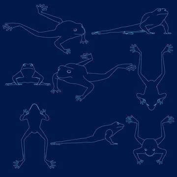 Vector illustration of set contour frog. Illustrazione stock