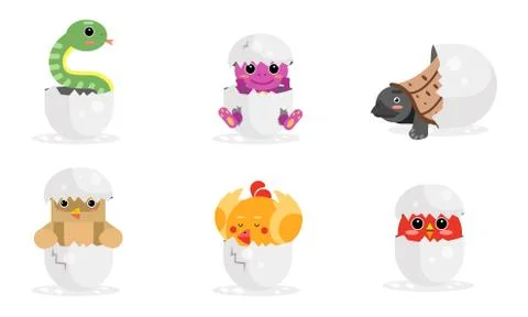 Vector Illustration Set With Cute New Born Animals In Eggs Stock Illustration