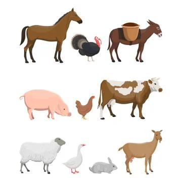 Vector illustration set of farm animals Illustrazione stock
