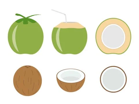 Vector illustration of set fresh coconut isolated on white background Stock Illustration