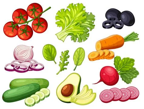 Vector Illustration Set of Fresh Salad Vegetables and Sliced Ingredients イラスト素材