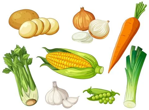 Vector Illustration Set of Fresh Vegetables and Healthy Food Ingredients Stock Illustration
