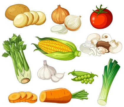 Vector Illustration Set of Fresh Whole and Sliced Garden Vegetables イラスト素材