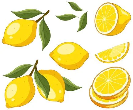 Vector Illustration Set of Fresh Yellow Lemons and Green Leaves Stock Illustration