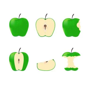 Vector illustration of set green ripe apples isolated on white background Stock Illustration