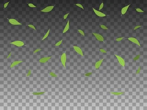 Vector illustration set green tree leaves falling Stock Illustration