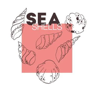 Vector illustration with set of hand drawn sea shells isolated on white bac.. Stock Illustration