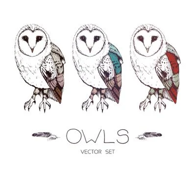 Vector Illustration Set 库存插图