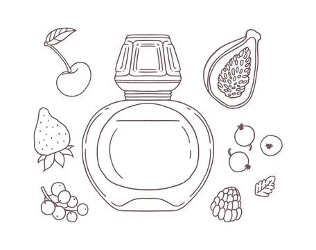Vector illustration of a set with the image of a black and white sketch of a  Stock Illustration