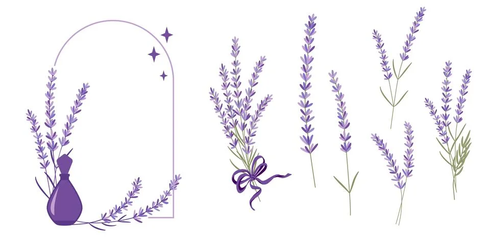 Vector illustration set of lavender flowers Stock Illustration