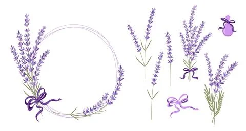 Vector illustration set of lavender flowers Stock Illustration