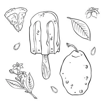 Vector illustration set of lemons, flowers, leaves and seeds hand drawn in do Illustrazione stock