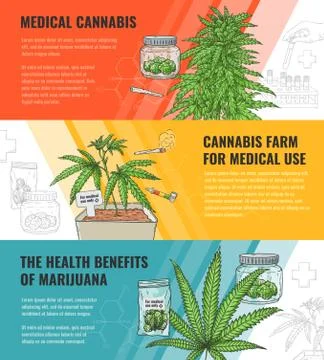 Vector illustration set of medical use and legalization of marijuana horizontal Stock Illustration