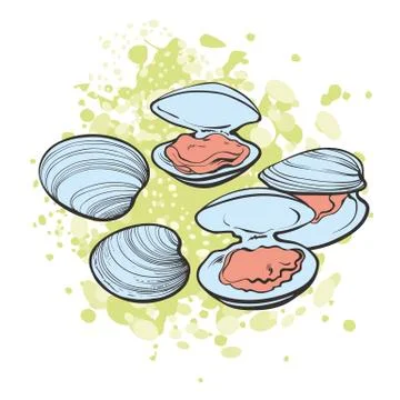 Vector illustration set of open and close mussels ready to eat in sketch style. 스톡 일러스트