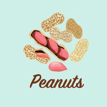 Vector illustration set of peanuts. Illustrazione stock