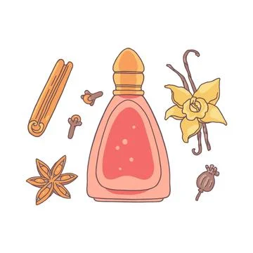 Vector illustration of set with perfume bottle and flower and spice ingredien Illustration