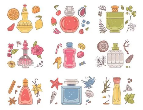 Vector illustration of a set of perfume perfumes in bottles with ingredients. Illustration