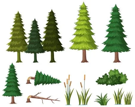 Vector Illustration Set of Pine Trees and Forest Vegetation Elements Stock Illustration