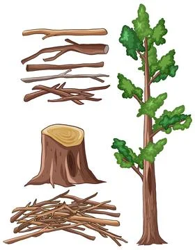 Vector Illustration Set of Tree Trunk Stump and Wooden Branches Stock Illustration