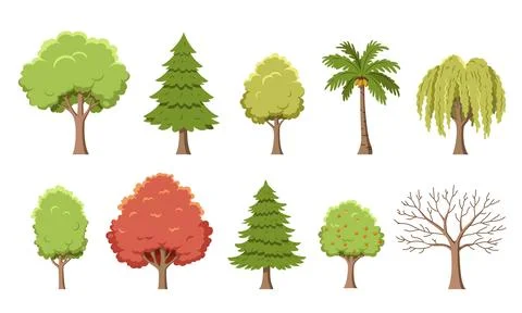 Vector illustration set of trees in cartoon style, including pine, oak, pop.. Stock Illustration