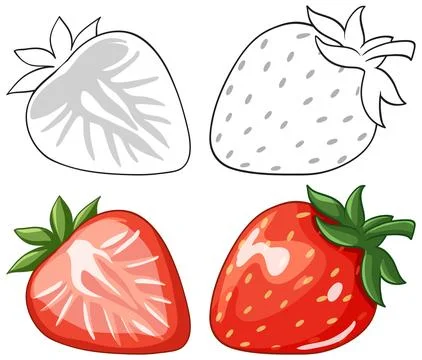 Vector Illustration Set of Whole and Sliced Red Strawberries with Outlines Stock Illustration