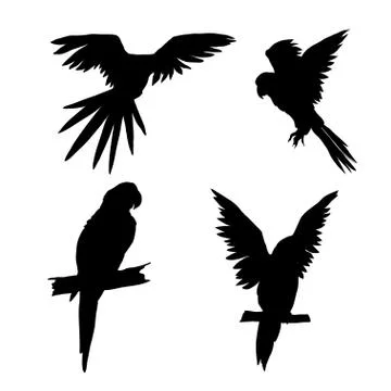 Vector illustration. Seth from parrots in different angles. Black silhouette. Stock Illustration