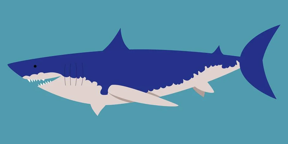 Vector illustration of a shark in a flat style isolated Stock Illustration