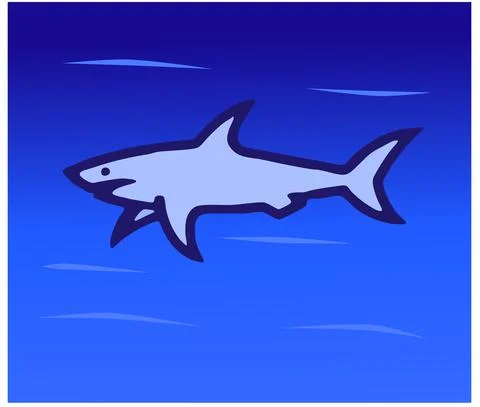 Vector illustration of shark Stock Illustration