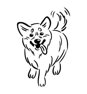 A vector illustration showcasing a joyful Corgi running. The playful dog Stock Illustration