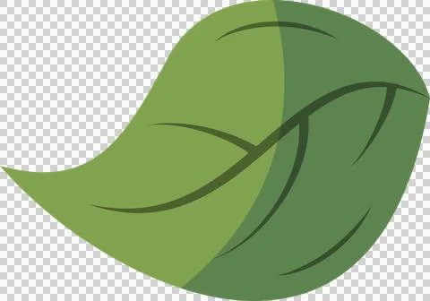 Vector illustration is showing stylized two-tone green leaf with veins on Stock Illustration