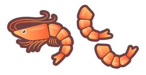 Vector illustration of shrimp in flat style. Stock Illustration