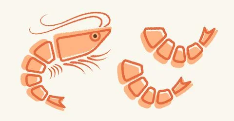 Vector illustration of shrimp in flat style. Stock Illustration