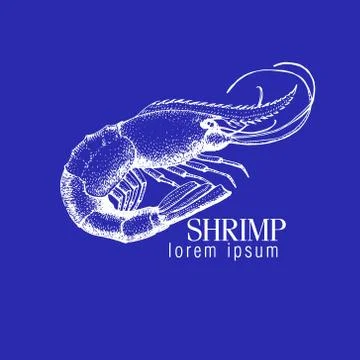 Vector illustration of shrimp Stock Illustration