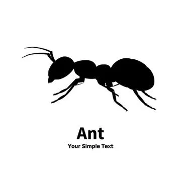 Vector illustration silhouette of ant Illustration