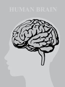 Vector illustration of a silhouette of a brain with a face profile of a man Stock Illustration