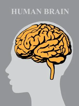 Vector illustration of a silhouette of a brain with a face profile of a man Stock Illustration