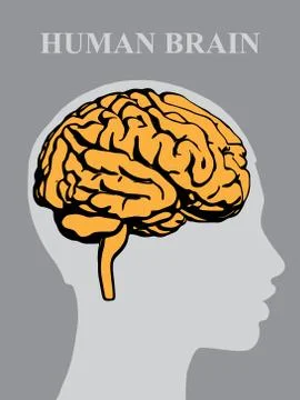 Vector illustration of a silhouette of a brain with a face profile of a man Stock Illustration