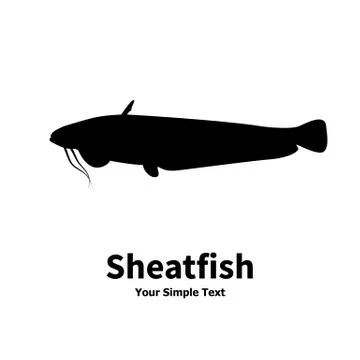 Vector illustration silhouette of fish catfish Stock Illustration