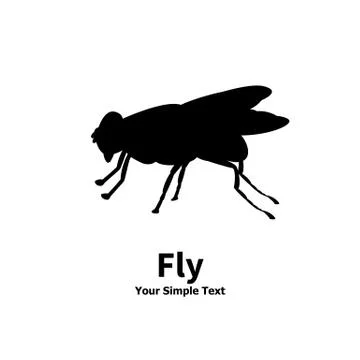 Vector illustration of a silhouette of a fly Stock Illustration