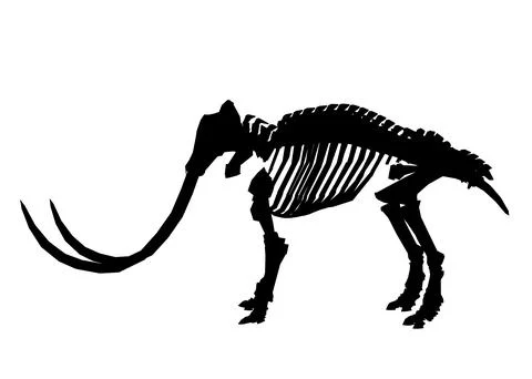 Vector Illustration of silhouette Mammoth Skeleton Isolated on White Background Stock Illustration