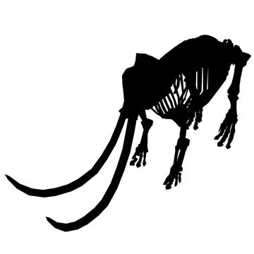 Vector Illustration of silhouette Mammoth Skeleton Isolated on White Background. Stock Illustration