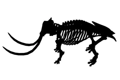 Vector Illustration of silhouette Mammoth Skeleton Isolated on White Background Stock Illustration