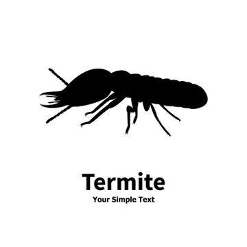 Vector illustration of a silhouette of a termite Stock Illustration