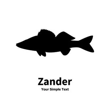 Vector illustration silhouette of zander Stock Illustration